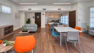 Modern, brightly lit common area features a kitchen, seating with colorful chairs, wooden flooring, and plants for a welcoming atmosphere.