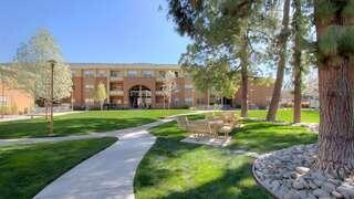 Exterior view of Primero Grove, a garden-style community with landscaped pathways, open lawn space, and seating areas shaded by trees.