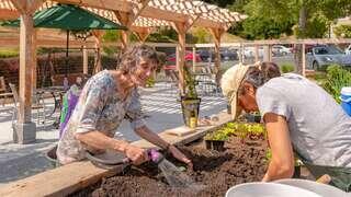 Two women are gardening together, planting in rich soil. The setting features a sunny outdoor space with wooden structures and greenery.