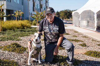 A man in a veteran t-shirt kneels beside a dog in a green vest, enjoying a sunny day in a landscaped area with buildings in the background.
