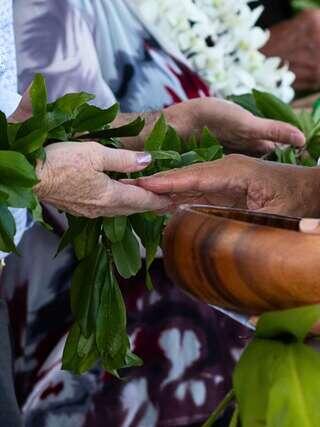 Two hands reach out, one adorned with greenery, forming a gentle connection over a wooden bowl, symbolizing unity and tradition.