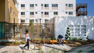 A woman walks a dog past a modern housing building, where a man sits on a bench amidst landscaped greenery and open spaces.
