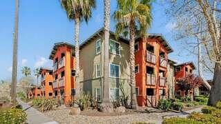 Palm Court features an affordable housing community by EAH Housing with garden style buildings, palm trees, and landscaped walkways in a warm climate setting.